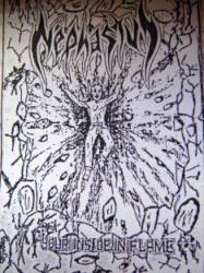 Nephastus : Your Inside In Flame